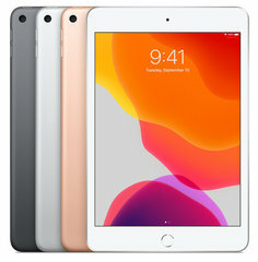 Apple iPads (alles tonen)