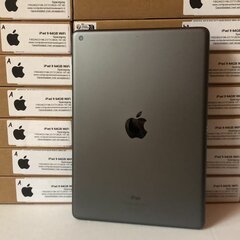 Apple iPad 9