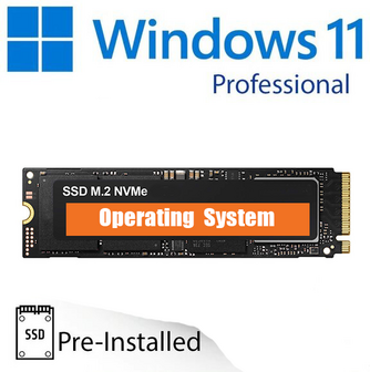 A-merk 256GB M.2 NVMe SSD + installatie Windows 11 Pro