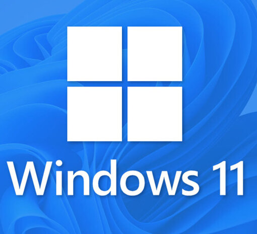 windows 11 logo